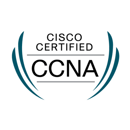 CCNA training artwork